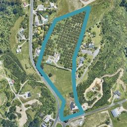 1D Warner Road, Oropi, Tauranga