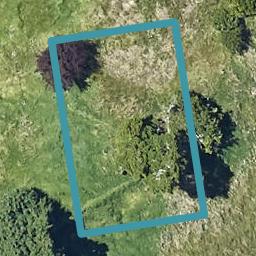 15 Omanga Way, Bethlehem, Tauranga