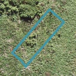 22 Spriggs Lane, Whenuapai, Auckland