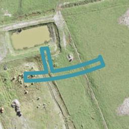 104 Dendro Ring Road, Wainui, Wainui