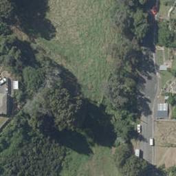 3 Rose Drive, Concord, Dunedin
