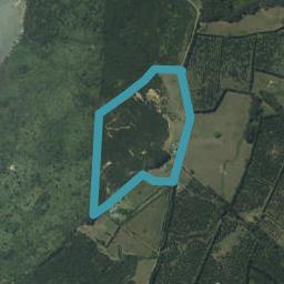 1047K Purangi Road, Cooks Beach, Whitianga