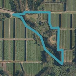 106 Orchard Road, Kerikeri, Kerikeri