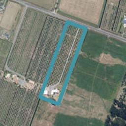 240 Motuiti Road, Foxton, Foxton