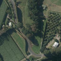 231 Old Highway, Whakamarama, Whakamārama