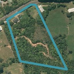 407 Hot Springs Road, Tahawai, Katikati