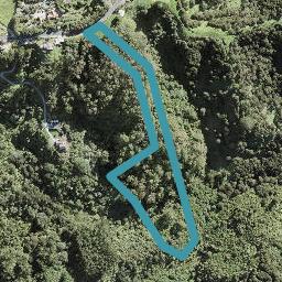 66 Foley Quarry Road, Dairy Flat, Dairy Flat