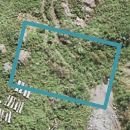 15 Whenuapai Drive, Whenuapai, Auckland