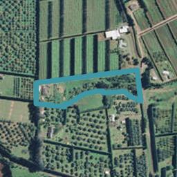 31 Connelly Lane, Tahawai, Katikati