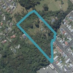 17 Allen Street, North East Valley, Dunedin