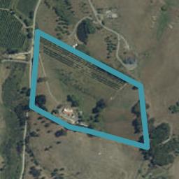 107 Williams Road, Tasman