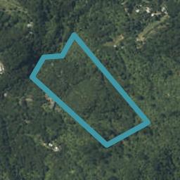 980 Buffalo Road, Coromandel
