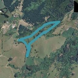 262 Pettigrews Road, Pigeon Bay, Pigeon Bay
