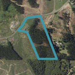 253 Ngahere Park Road, Turitea, Palmerston North