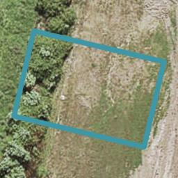 6 Oyster Drive, Whenuapai, Auckland
