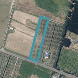 251 Motuiti Road, Foxton, Foxton