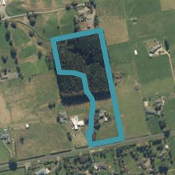 120 Ngaroto Road, Te Awamutu, Ohaupo