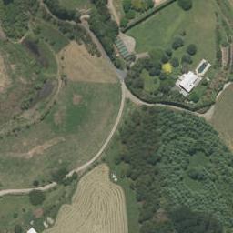 257 Whakamarama Road, Whakamarama, Whakamārama