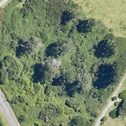 27 Leonard Road, NGONGOTAHA, ROTORUA