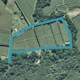 11 Maungaroa Access Road, Te Kaha, Te Kaha