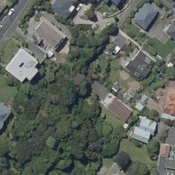 6 Melrose Street, Roslyn, Dunedin