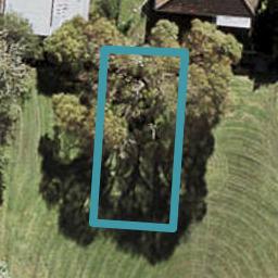 7 Porowhita Road, Avondale, Auckland