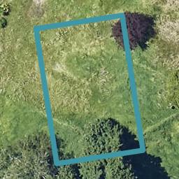 17 Omanga Way, Bethlehem, Tauranga