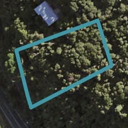 220 Bethells Road, Te Henga / Bethells Beach