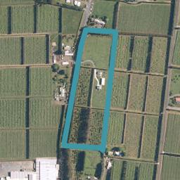40 Orangewood Road, Kerikeri, Kerikeri