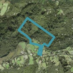111 Bethells Road, Henderson