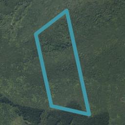 360 Te Punga Road, WHANGAPOUA, COROMANDEL