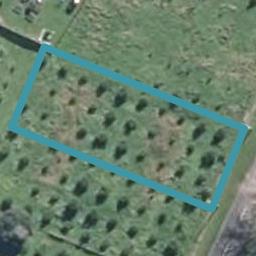 3682 Ohura Road, Ohura