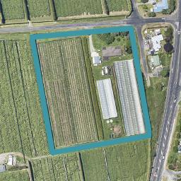 11 Hot Springs Road, Tahawai, Katikati