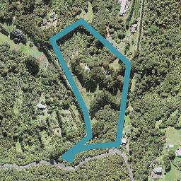 29 Te Henga Road, Waitākere, Auckland