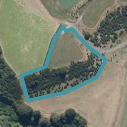 1113 Pohangina Road, Pohangina, Ashhurst