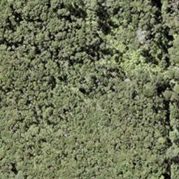 0 North Cove, Kawau Island, Kawau Island
