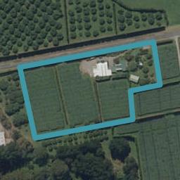 205 Wharawhara Road, Tahawai, Katikati