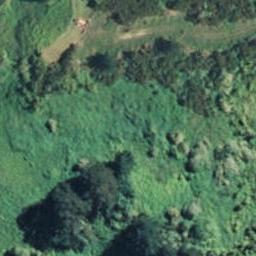 1329 Strang Road, TE PUKE, Te Puke