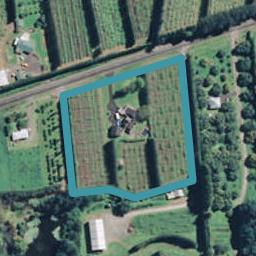 111 Rea Road, Tahawai, Katikati