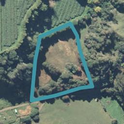 819A Taneatua Road, Taneatua, Tāneatua