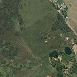 956B Whakamarama Road, Whakamarama, Whakamārama