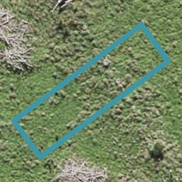5 Porowha Road, Westgate, Auckland