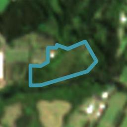 247C Puketotara Road, Waipapa, Waipapa