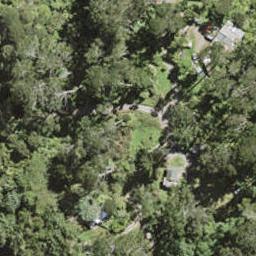 186 Shaw Road, Oratia, Auckland