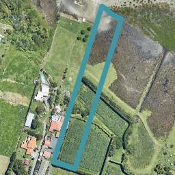488 Matapihi Station Road, MATAPIHI, MOUNT MAUNGANUI