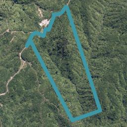 552A Cuff Road, Erua