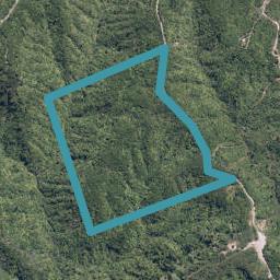550C Cuff Road, Erua