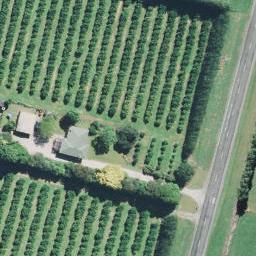 45 Lavenham Road, Gisborne