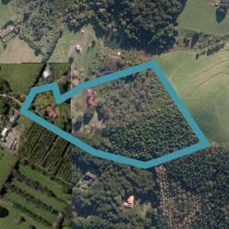 262 Ngunguru Road, Whangarei