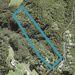 81 Christian Road, Swanson, Auckland